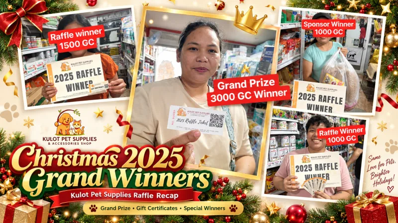 Celebrating Our Christmas 2025 Grand Winners!